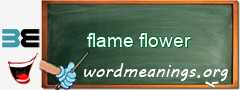 WordMeaning blackboard for flame flower
